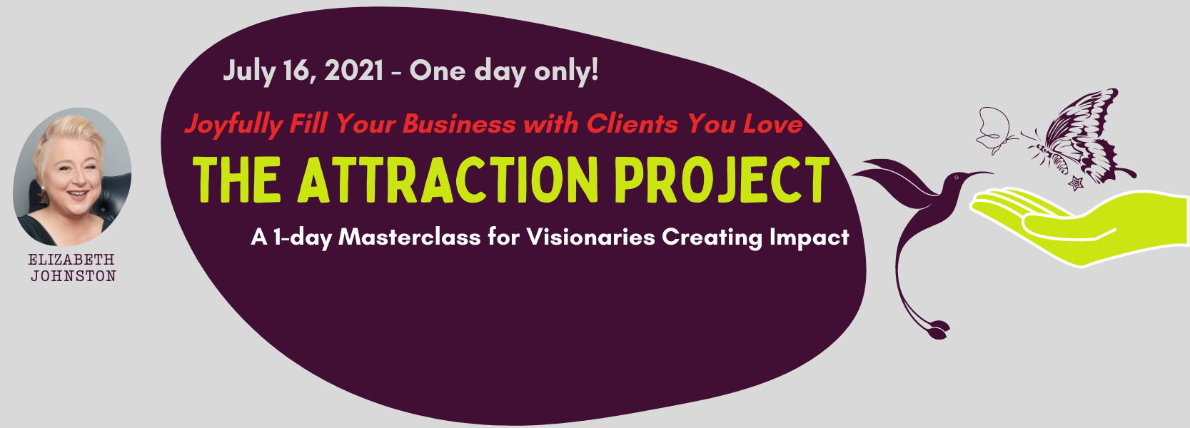 The Attraction Project for Visionaries Creating Impact