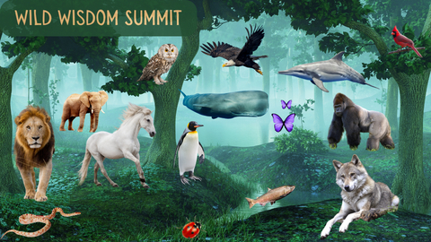 Wild Wisdom Summit - Recreating Harmony on Earth