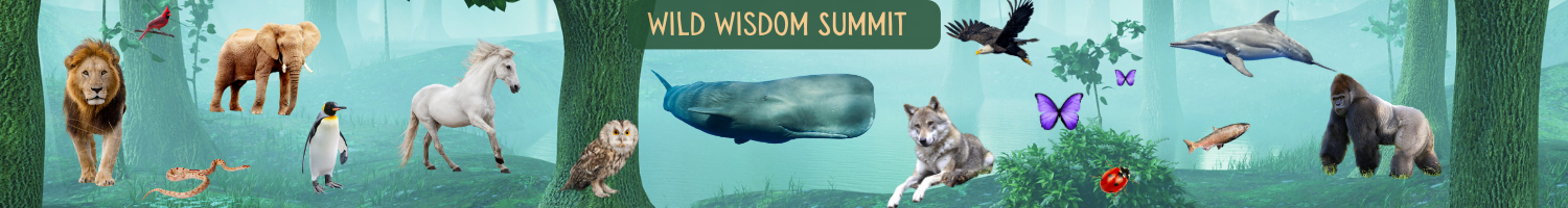 Wild Wisdom Summit - Recreating Harmony on Earth