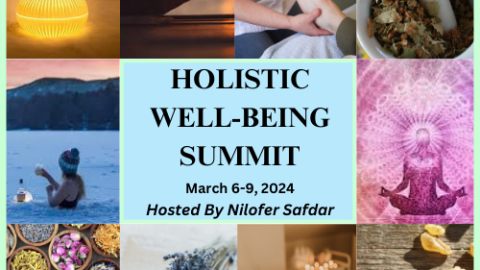 Holistic Well-Being Summit
