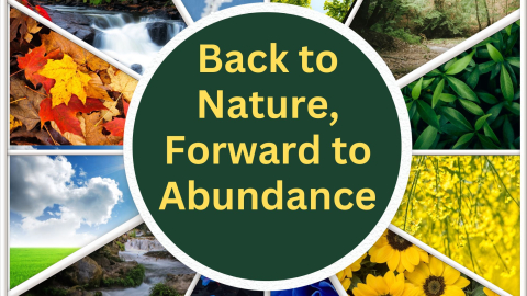 Back to Nature, Forward to Abundance 