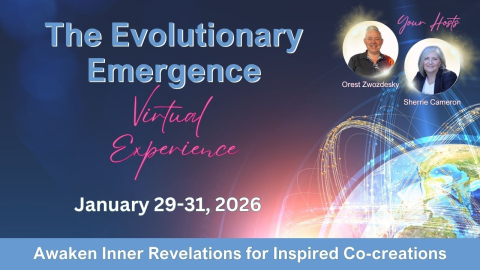The Evolutionary Emergence Virtual Experience 2